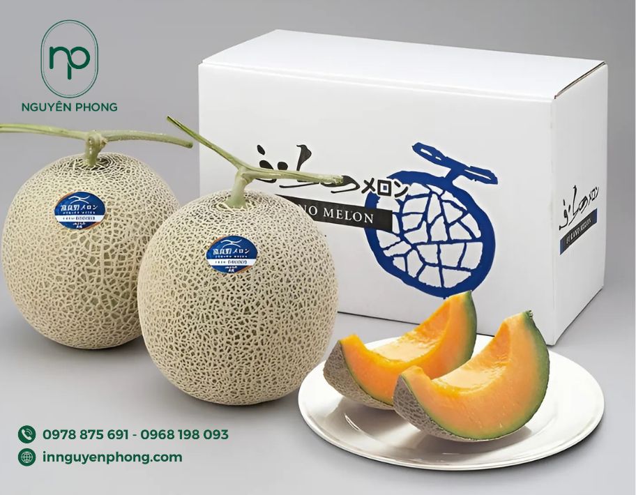 mau-hop-giay-dung-dua-luoi-don-gian-2